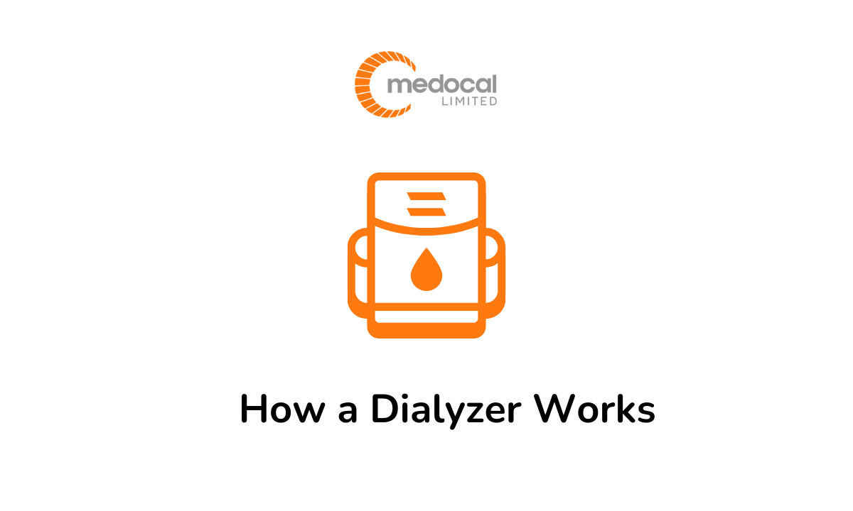 What is A Dialyzer How does it Work - Medocal Kenya